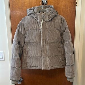 Gray corduroy super puff shorty